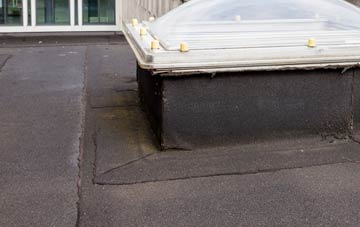 disadvantages of Haskayne flat roofs