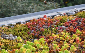 the cost of Haskayne green roof installation