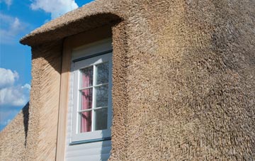 Haskayne thatch roof disadvantages